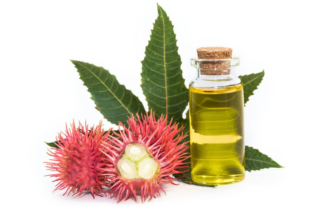 Aceite de ricino – composición de la crema Proctonic