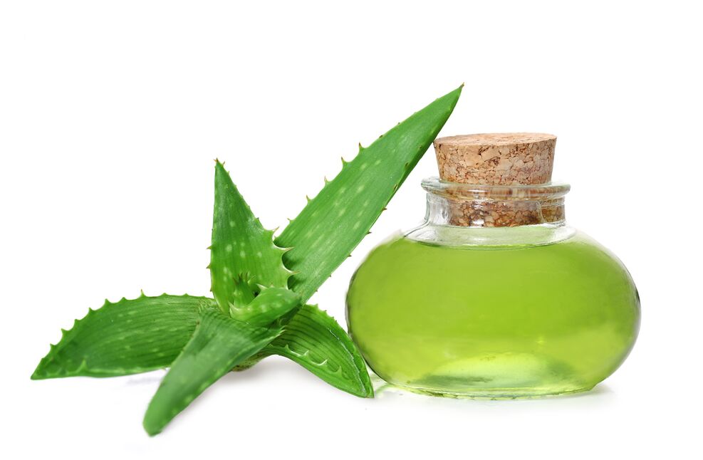 Extracto de aloe – composición de crema Proctonic